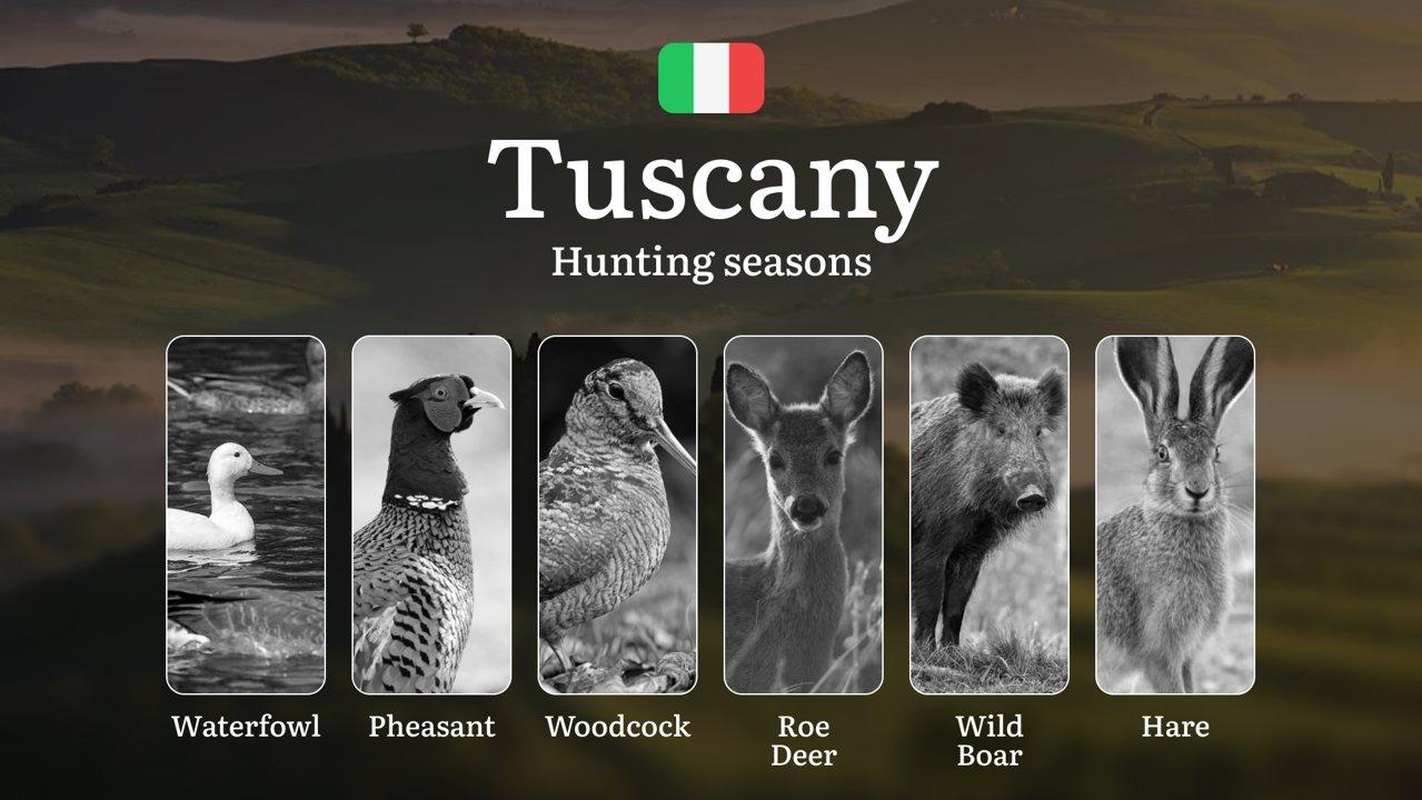 Tuscany's Legendary Seasons: Moon Phase Hunting Dates in the Maremma and Chianti Vineyards

 Regulation and Hunting Periods in TUSCANY

Tuscany's diverse landscapes offer