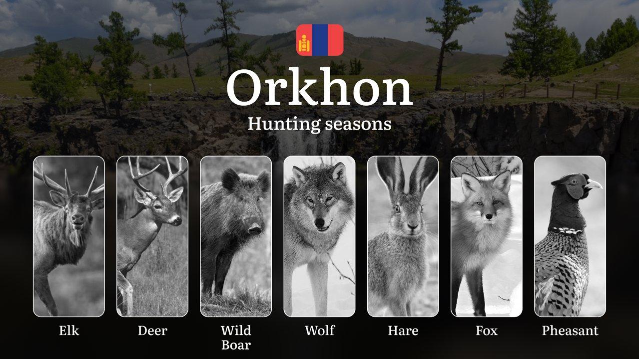 Hunting Dates in Orkhon Province: Seasonality of Hunting, Timing and Regulations, Hunting Permits, Restrictions and Prohibitions
