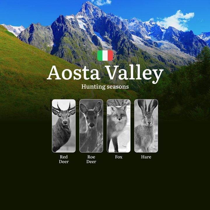 Valle d'Aosta <strong>Hunting</strong> Calendar: Exclusive Dates for Europe's Most Challenging Mountain Pursuits

The Aosta Valley, with its pristine alpine landscapes, o