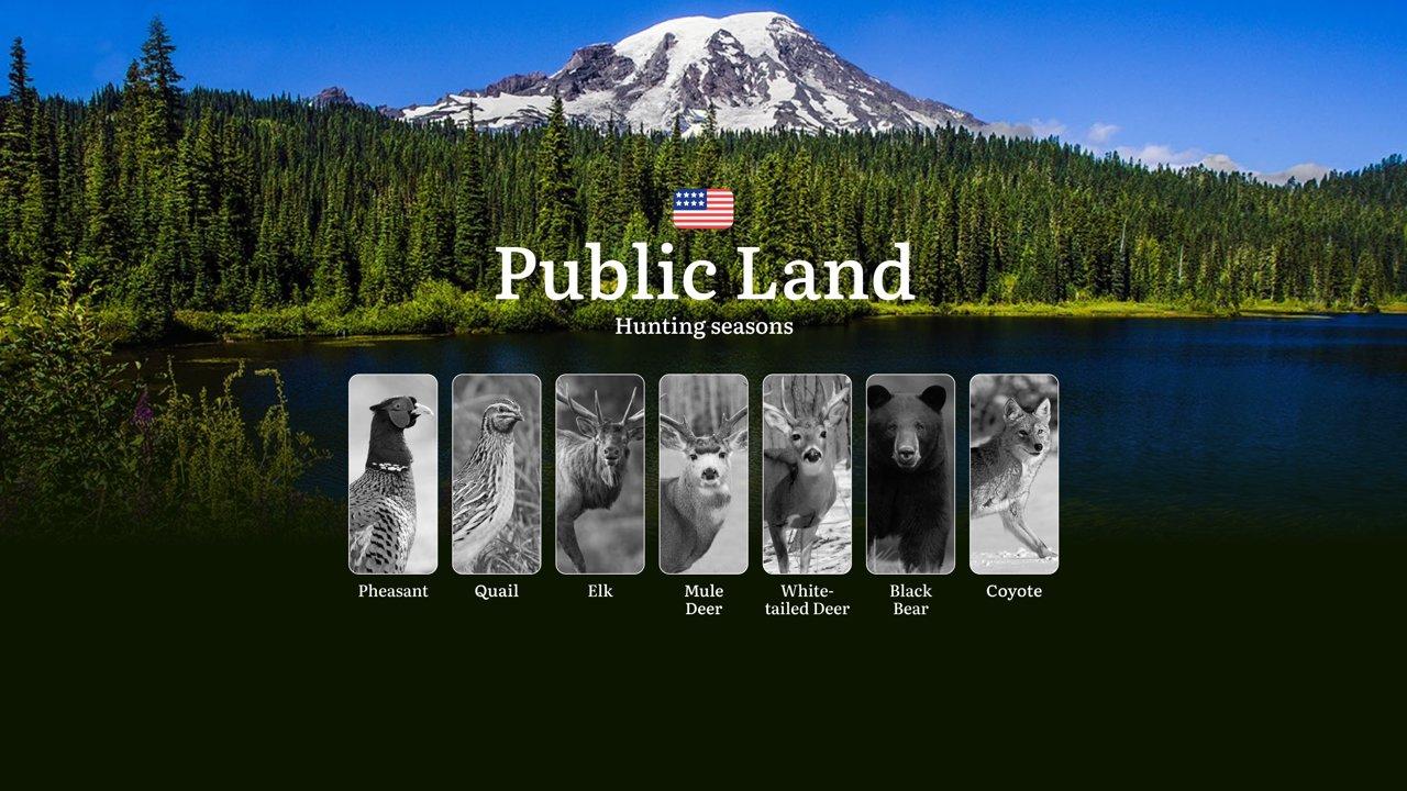 Post Card
