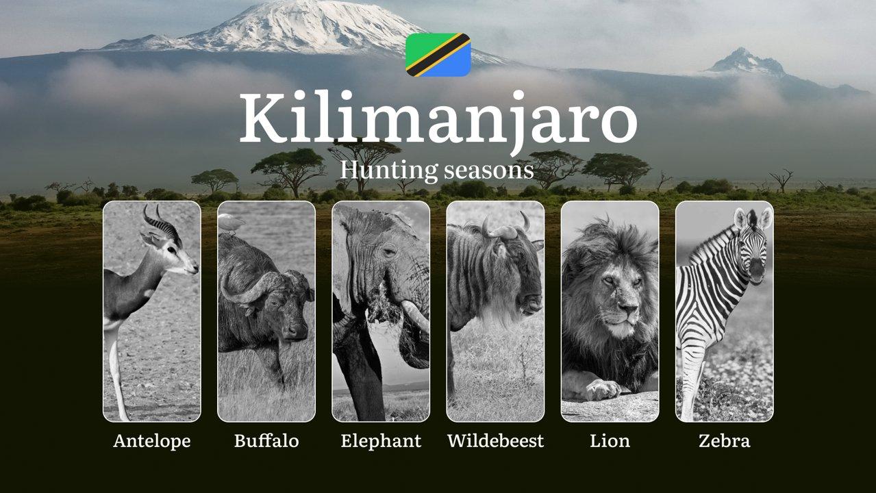 Kilimanjaro: Official Hunting Dates, Regulatory Limits and Seasonal Prohibitions, Licensing Rules, Fines and Legal Penalties for Non-Compliance, Strategic Preparation, Equipment