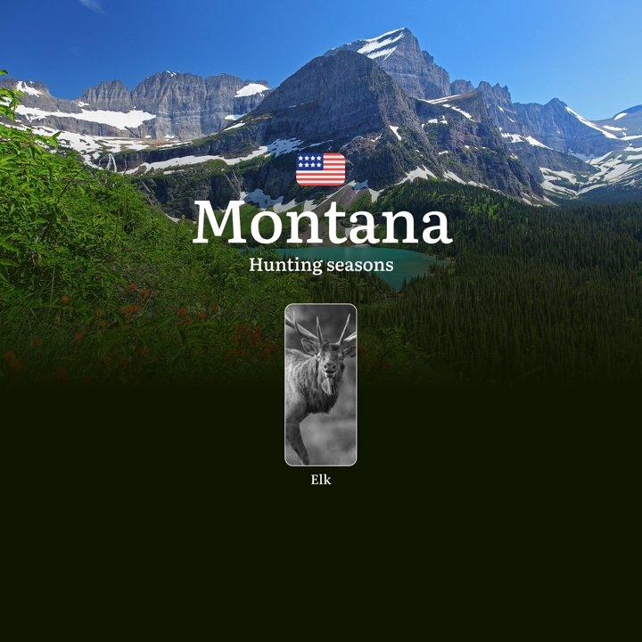 Montana: Hunting Seasons, Restrictions and Prohibitions, Hunting License, Practical Tips for Hunters, Consequences for Violating Hunting

Legal Framework and Elk Hunting 