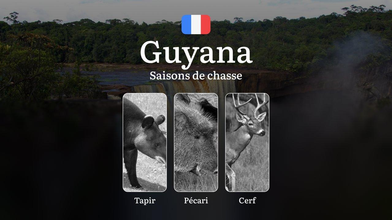 Saisons de chasse en GUYANE: Calendrier Complet, Réglementations Clés,  Obtention des permis et Conseils Pratiques 
