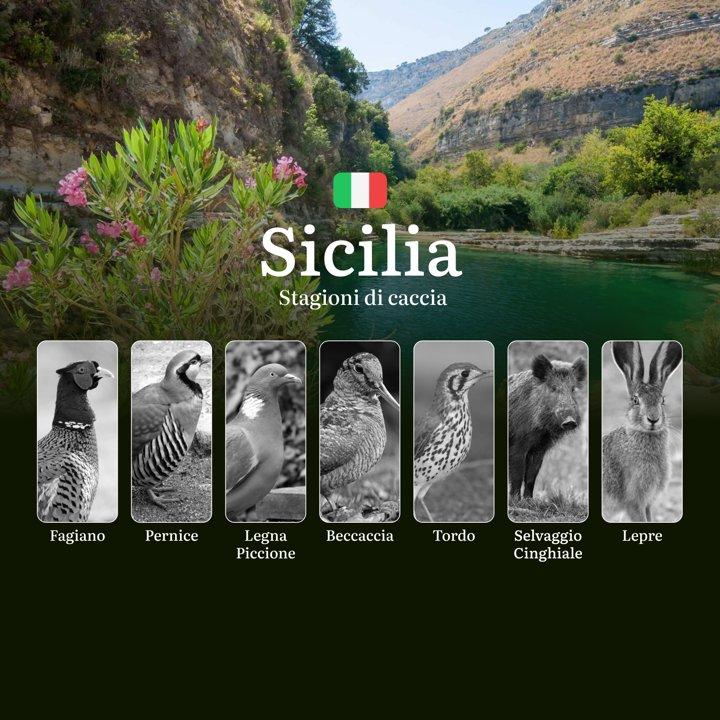 Caccia in Sicilia: Dalle Beccacce dei Nebrodi ai Cinghiali dell'Etna - Date, Regole e Segreti Locali