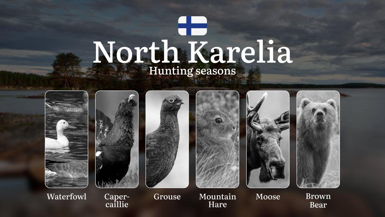 Hunting Seasons in NORTH KARELIA: Season Dates, Protected Species, Permit Requirements, Crucial Regulations and Penalties for Violating Laws

North Karelia, Finland, is a