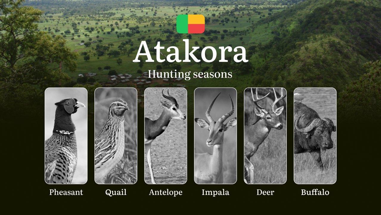 Hunting Dates in Benin’s ATAKORA Region: Hunting Seasons, Opening and Closing Dates, Licenses, Rules and Periods for Hunting
