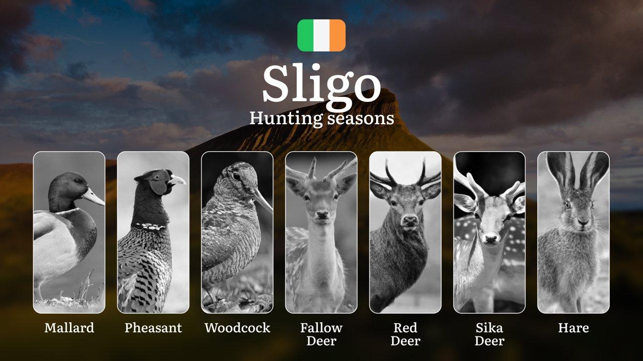 Mastering the Hunting Seasons in SLIGO, Ireland: Key Dates, Regulations, and Prime Game Opportunities

General Hunting Rules and Seasons in Sligo

Hunting seasons in Slig