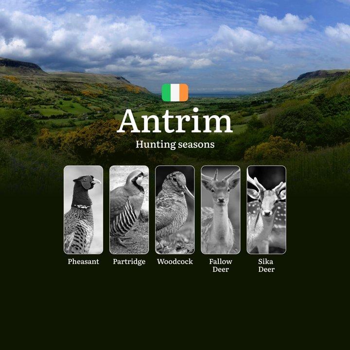 When the Land Stirs: A Deep Dive into Hunting  Calendar, Seasons, Wildlife Cycles, and Tradition in County ANTRIM
