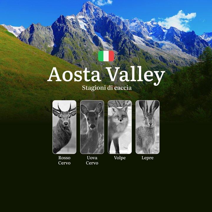 Caccia nelle Alpi della Valle d'Aosta: Calendario Venatorio Completo, Specie Cacciabili e Segreti per Ogni Stagione tra Camosci e Cervi