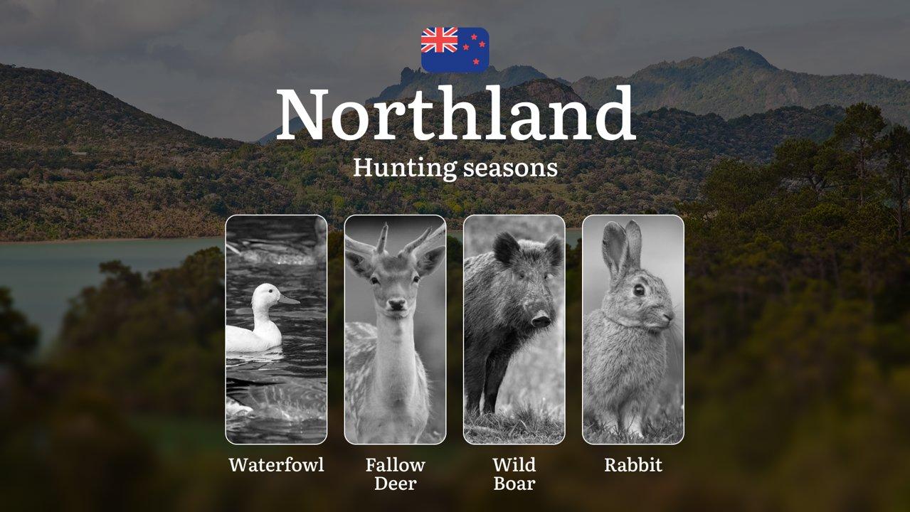 Hunting Seasons in NORTHLAND, New Zealand: Penalties for Violating Hunting Rules and Seasons, Bans and Restrictions

Rules and Dates of the Hunting Season in Northland

I