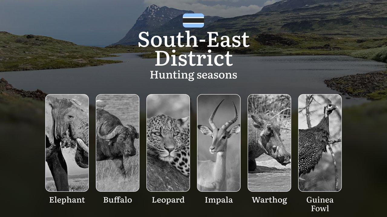 Hunting Periods in South-East District, Botswana: Regional Regulations, License Application Steps, Off-Season Penalties, Timing, Equipment, and Field Strategies

Hunting 