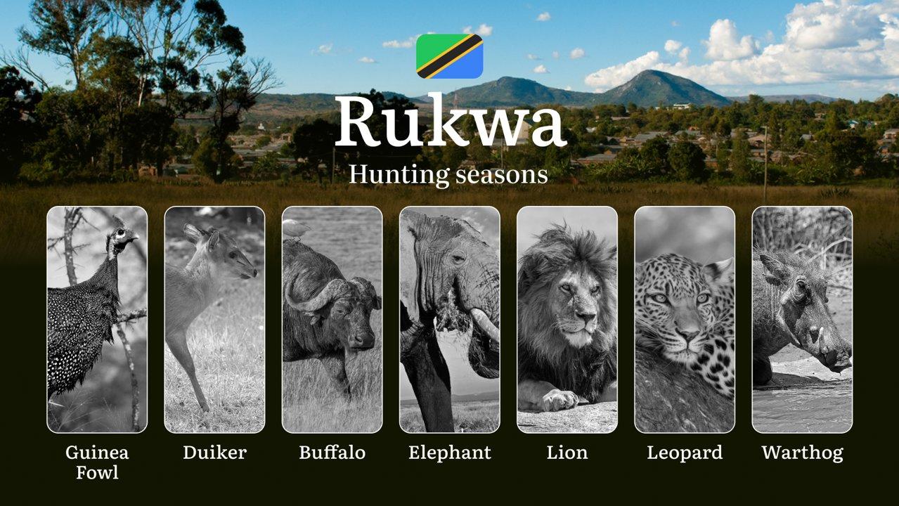 Official Hunting Timeline in Rukwa: Legal Limits and Seasonal Bans, Licensing Rules, Fines and Consequences for Breaches, Strategic Planning, Best Timing, Equipment Choices