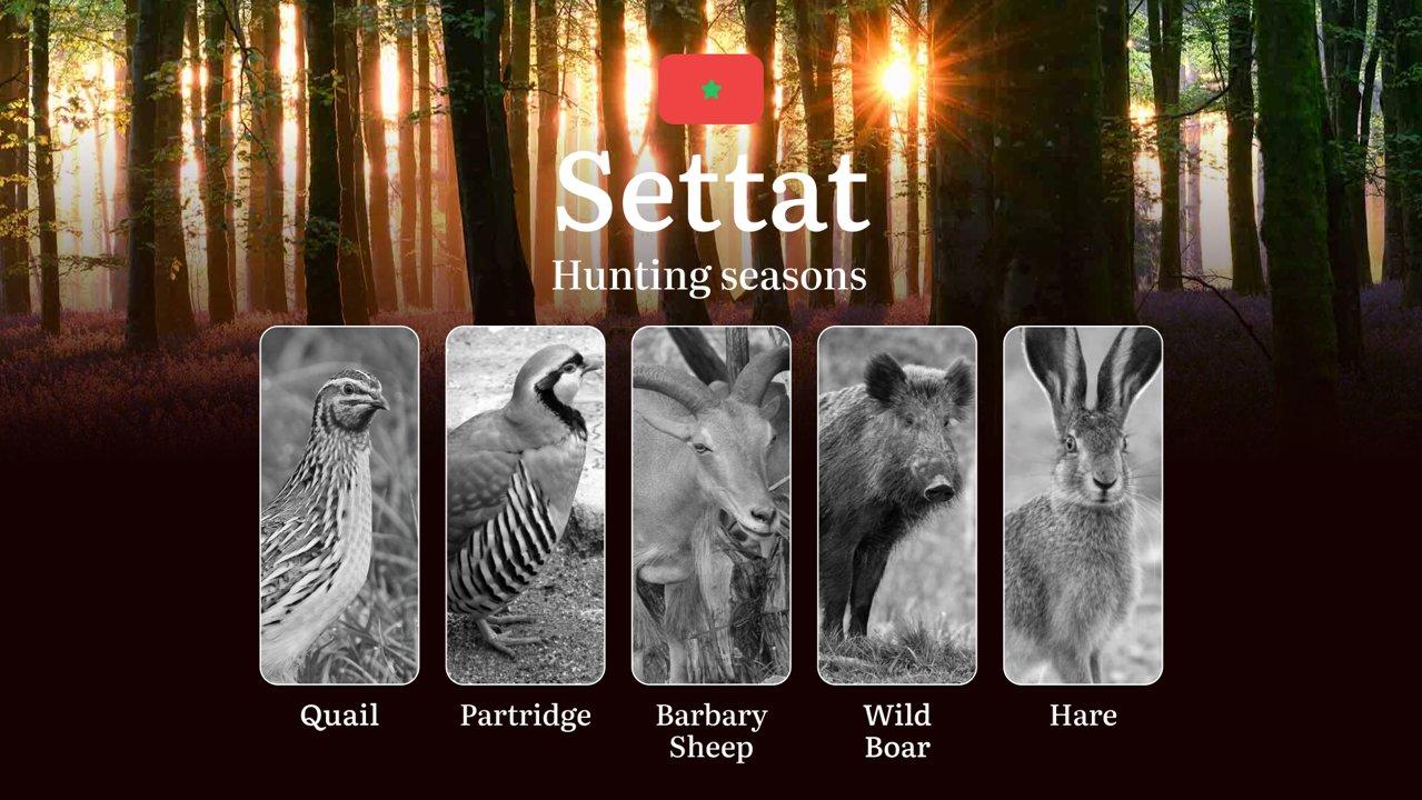 <strong>Hunting</strong> Seasons in Settat: Restrictions, Bans, and Protected Species, Choosing Timing, <strong>Gear</strong>, and Tactics

Planning your <strong>hunting<