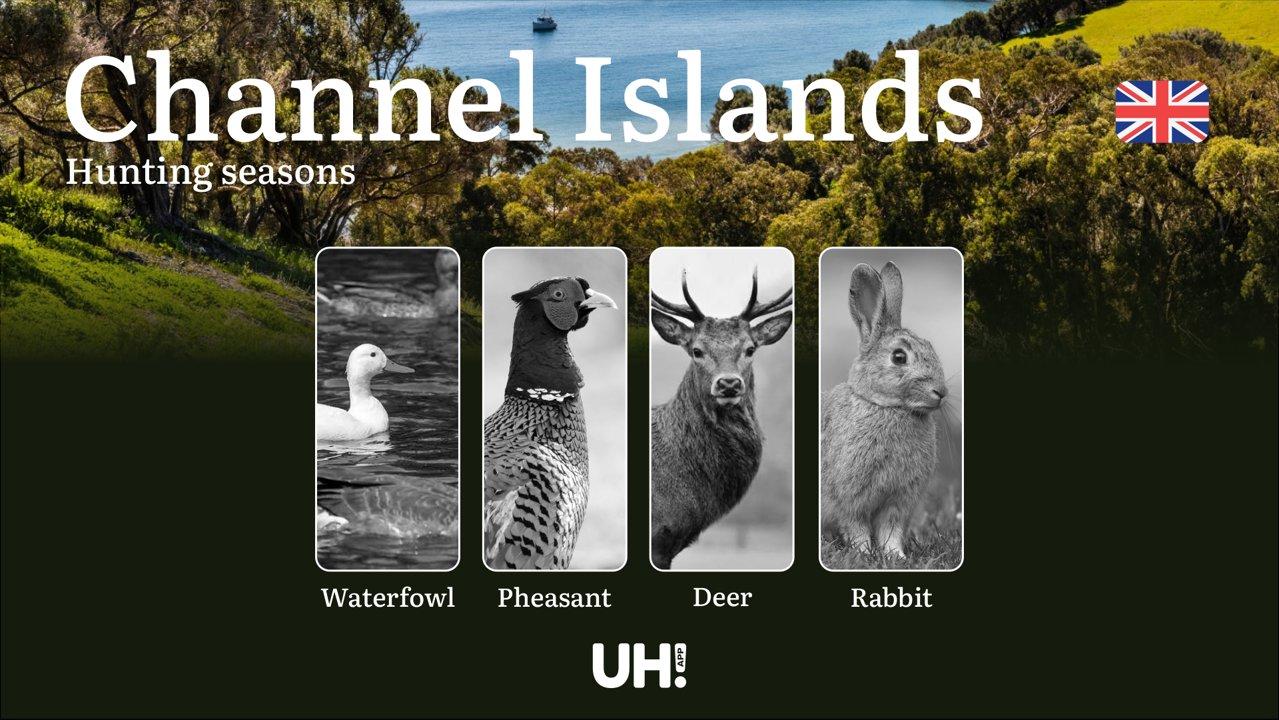 Channel Islands Hunting Guide: Seasons, Licenses & Rules, Best Times and Locations for Game Hunting