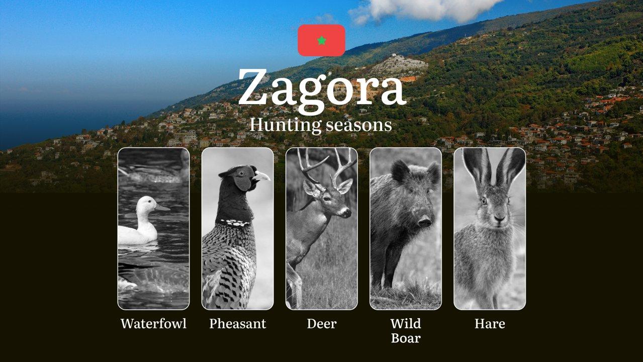 Hunting Dates in Zagora: Seasonality of Hunting, Timing and Regulations, Hunting Permits, Restrictions and Prohibitions
