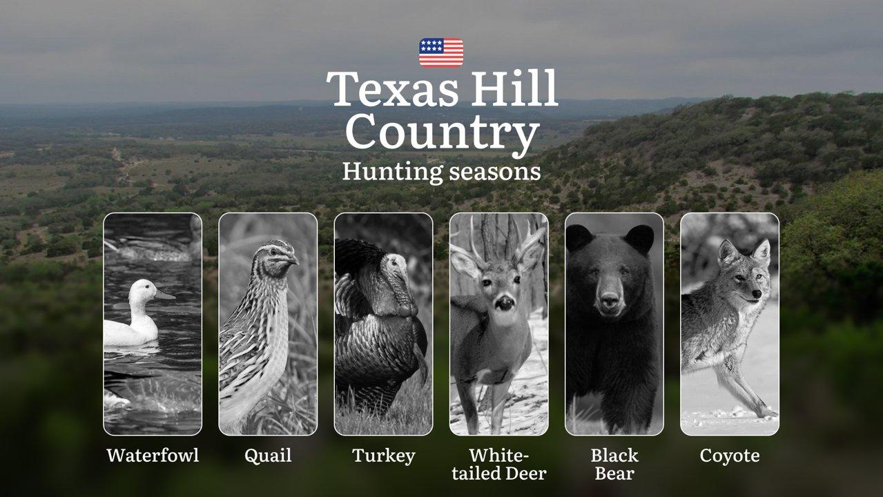 Hunting Seasons in the USA, Texas Hill Country: Timing, Regulations, Permits and Tips, License and Permits