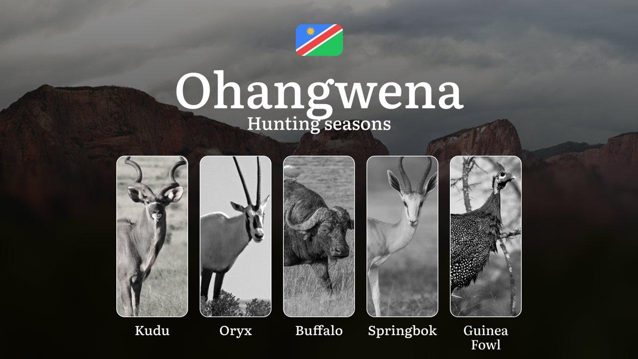 Hunting Access Dates in Ohangwena, Namibia: Legal Seasons, Licensing, Penalties, Planning, and Expert Tips