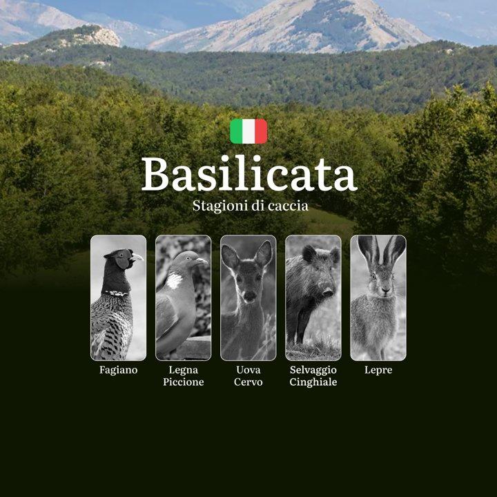 Caccia in Basilicata: Tra Appennino Lucano e Parco del Pollino - Date, Aperture e Chiusure per Ogni Specie