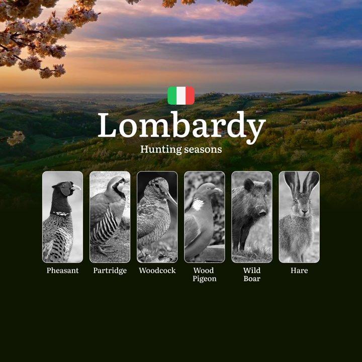 Lombardy's <strong>Hunting</strong> Seasons: Dates, <strong>Zones</strong> and Tuscan-Style Culling Methods

The Lombardy region, with its diverse ecosystems stretching f