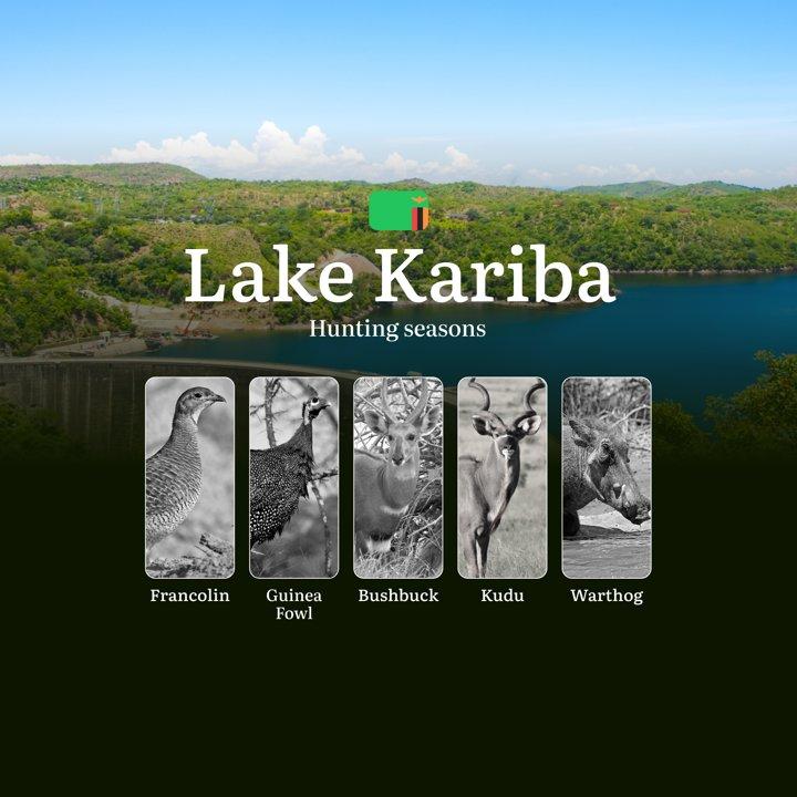 Chasing the Seasons: A Hunter’s Calendar to Hunting Dates and Regulations Around Lake Kariba, Zambia