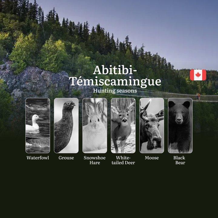 <strong>Hunting</strong> Seasons <strong>in</strong> ABITIBI-TÉMISCAMINGUE: Essential Opening and Closing Dates, Required Licenses and Key Rules

Nestled <strong>in</stro