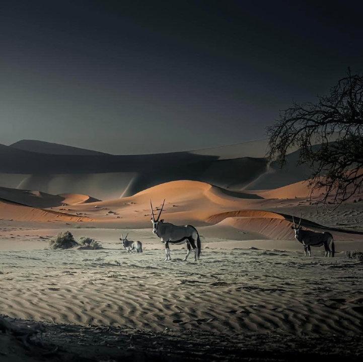 The majestic Sossusvlei