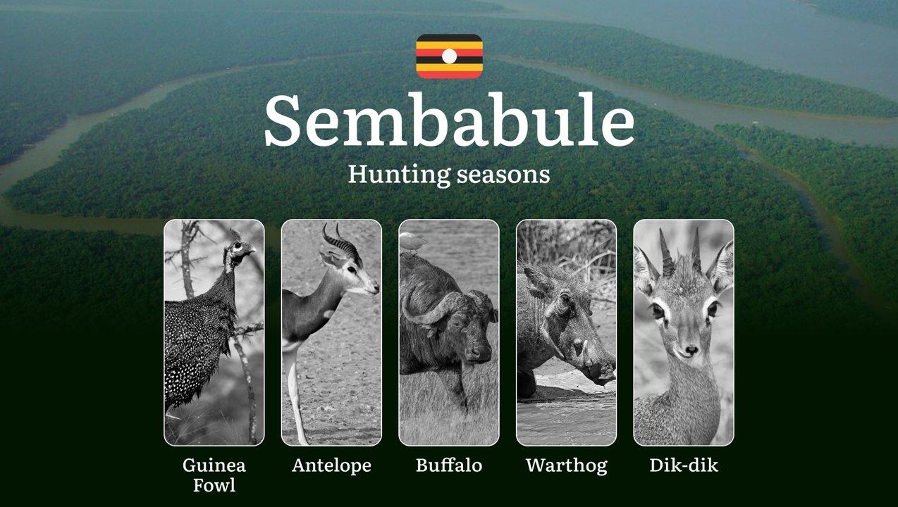 Hunting Date Ranges in Sembabule: Hunting Periods, Legal Limits and Seasonal Bans, Licensing Rules, Fines and Consequences, Strategic Planning, Timing, Equipment