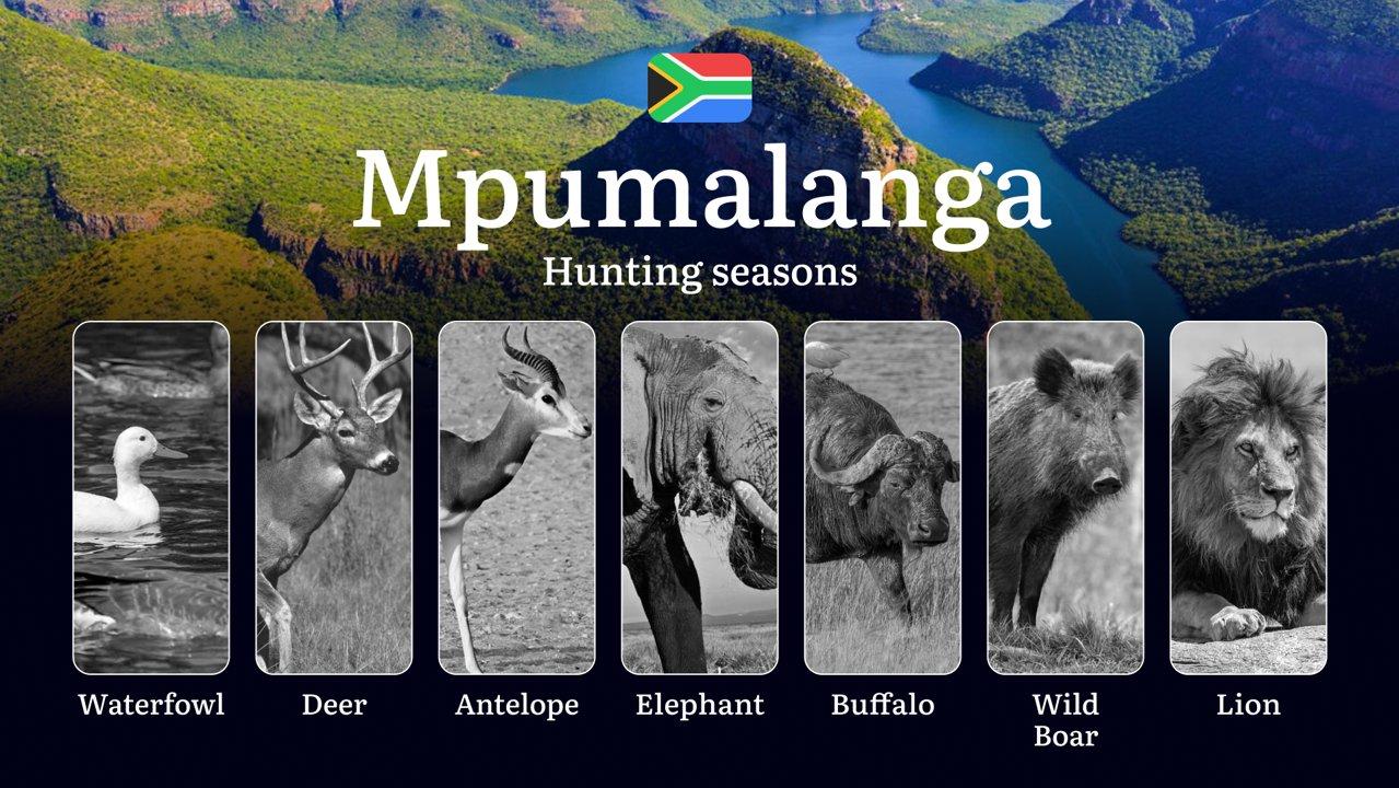 Hunting Periods in Mpumalanga, South Africa: Seasons, Permits, and Key Features of Hunting, Restrictions and Prohibitions, Hunting Permits