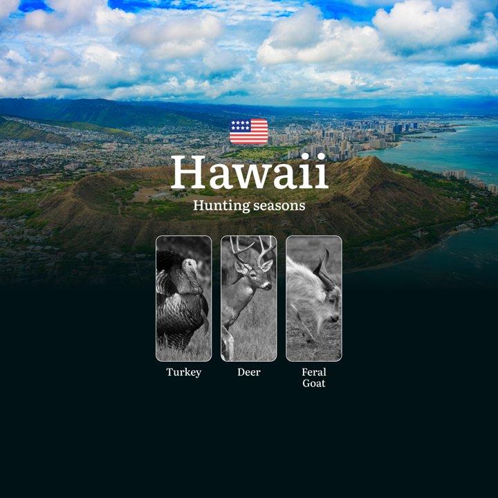 Seasons of Hunting for Axis Deer in Hawaii: Regulations, Times, and Tips, Penalties for Illegal Hunting
