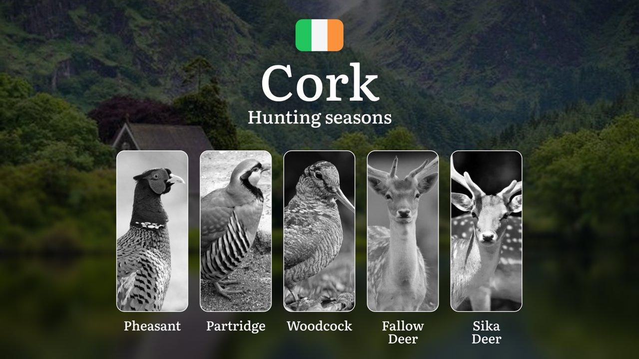 The Calendar of the Hunt: Exploring Seasonal Opportunities, Activities and Rules in County CORK

Understanding Hunting Seasons and Wildlife Management in County Cork

Cou