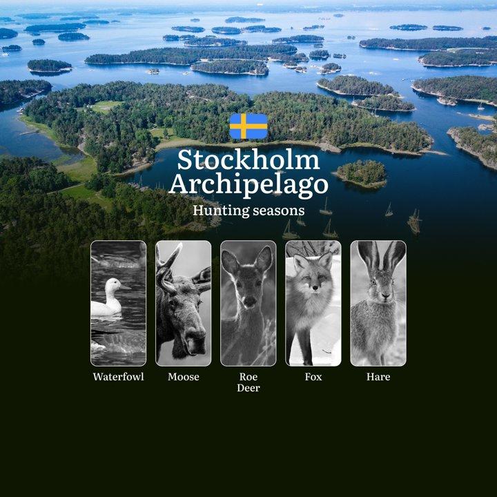 Hunting Periods and Permits in STOCKHOLM ARCHIPELAGO: A Detailed Look at Game Movement Throughout the Year, Seasonal <strong>Limits</strong>, and How to Apply for a Hunti