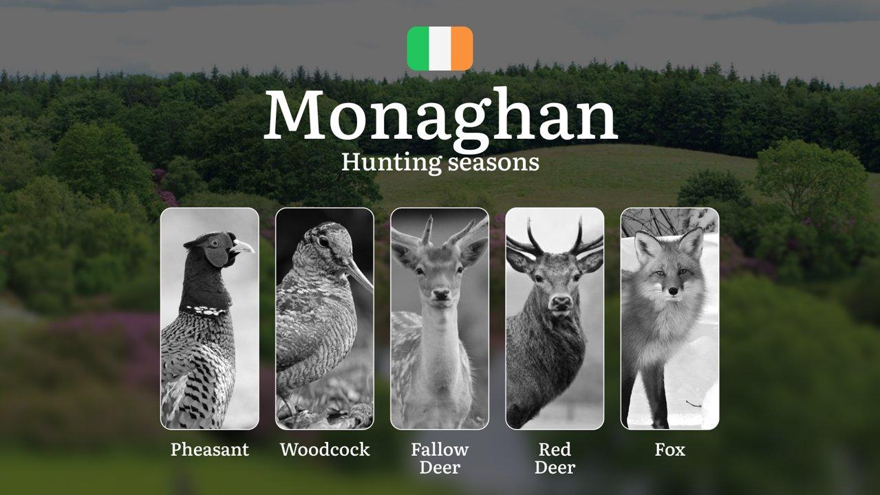 MONAGNAN'S Hunting Calendar: When the Emerald Fields Come Alive - Pheasant, Deer and Irish Game Pursuits

Hunting Regulations & Seasonal Framework in Monaghan

County Mon