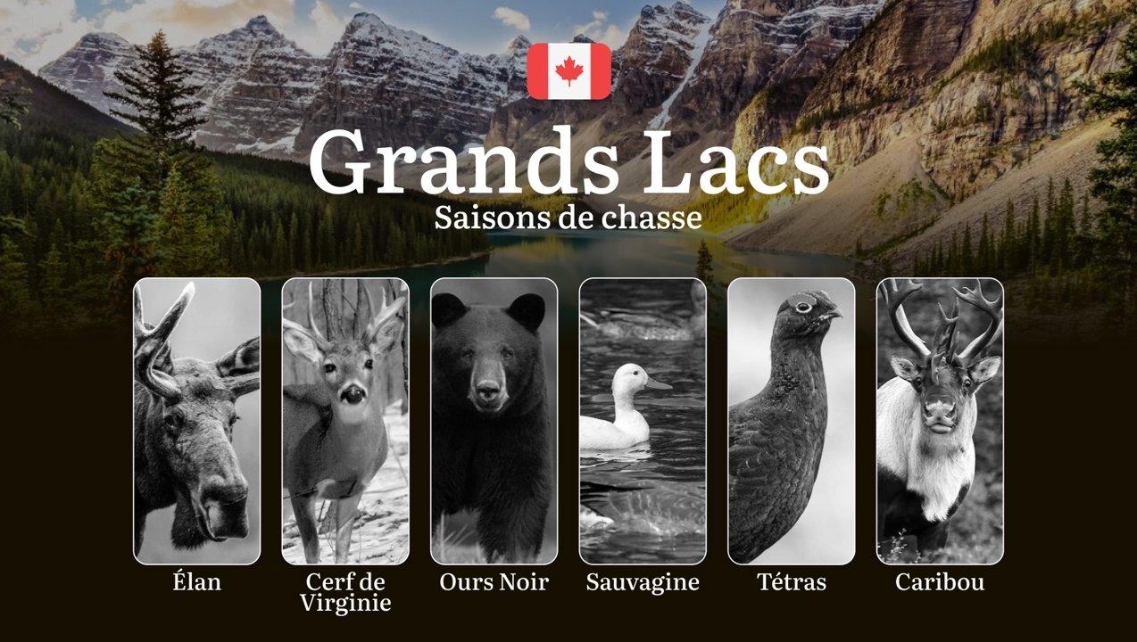 Saisons de chasse près des GRANDS LACS (Canada): calendriers complets, réglementations clés et stratégies gagnantes 