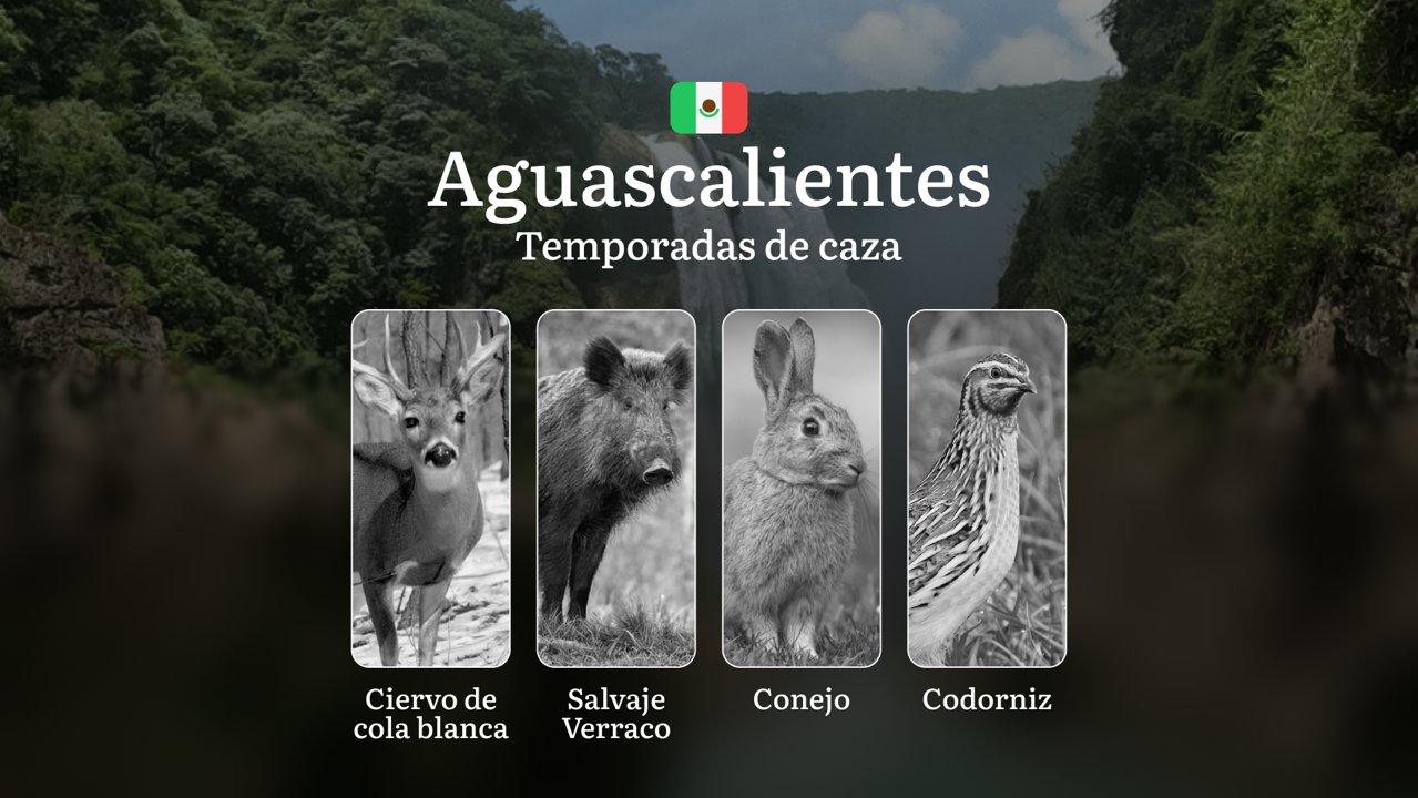 Temporadas y períodos de caza en Aguascalientes: Periodos Legales, Comportamiento de la Fauna y Requisitos para Cazadores