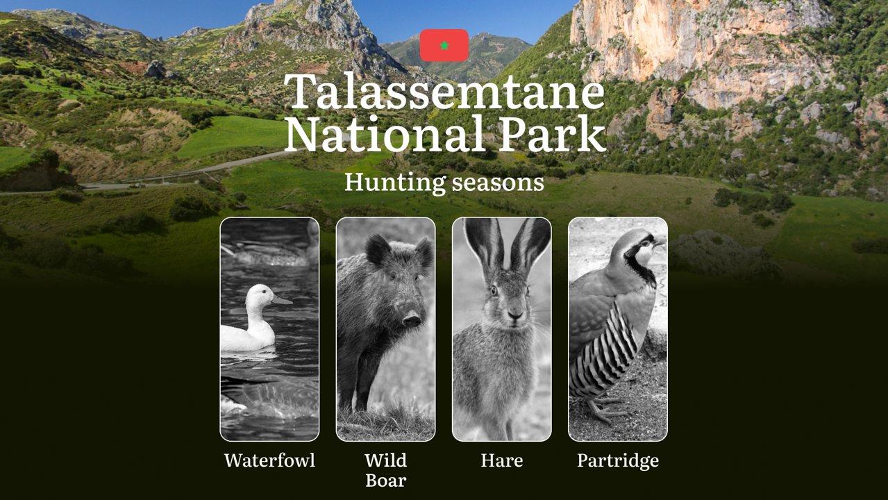 Talassemtane National Park: Hunting Seasons and Timing, Regulations and Licensing, Required Documents and Procedures, Tips for Hunters
