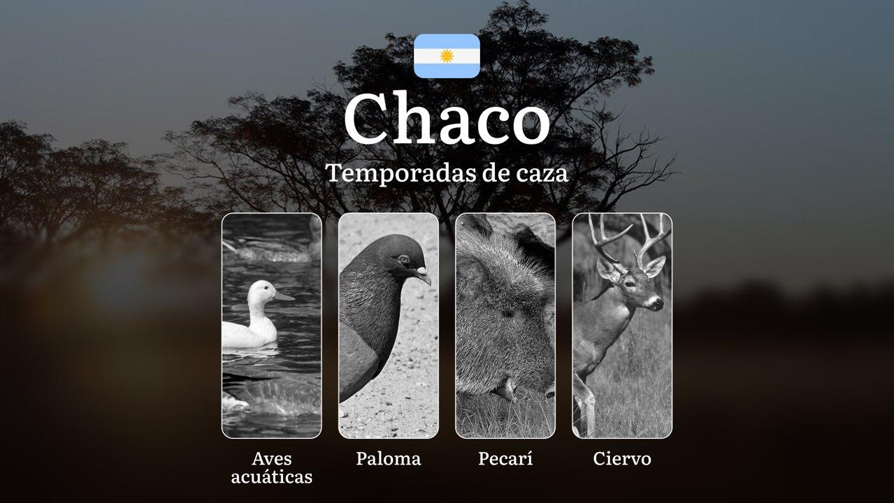 Chaco (Argentina): Temporadas de caza, Reglas y Mejores Épocas para la Caza, Cambios Históricos, Prohibiciones y Restricciones
