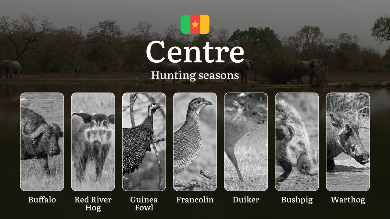 Hunting Calendar in Centre: The Thrill of Hunting Events and Traditions, Legislation & General Hunting Rules and Permits

Hunting Seasons and Legal Framework in the Centr