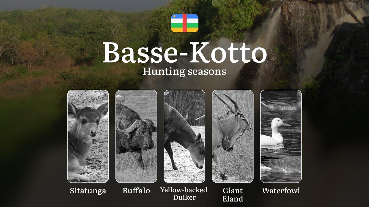 Hunting Through the Seasons in Basse-Kotto: Rules, Permits & Cultural Events and Traditions

General Hunting Rules and Seasons in Basse-Kotto

The official hunting season