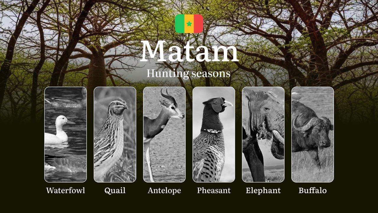 Seasons of Hunting in Senegal, The MATAM Region: Dates and Time, Hunting Bans and Restrictions, Penalties for Violating Hunting