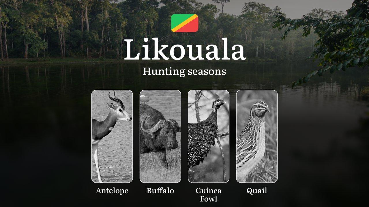 Hunting Seasons in the Republic of the Congo, Likouala Region: Dates and Periods of Hunting, Licenses, and Rules, Tips and Tactics for Hunters