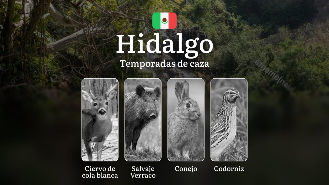 Temporadas y períodos de caza en Hidalgo: Patrones Estacionales, Regulaciones y Licencias para Cazadore