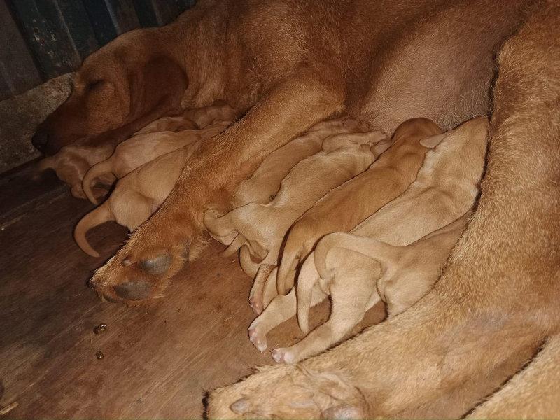 Nouvelle naissance 