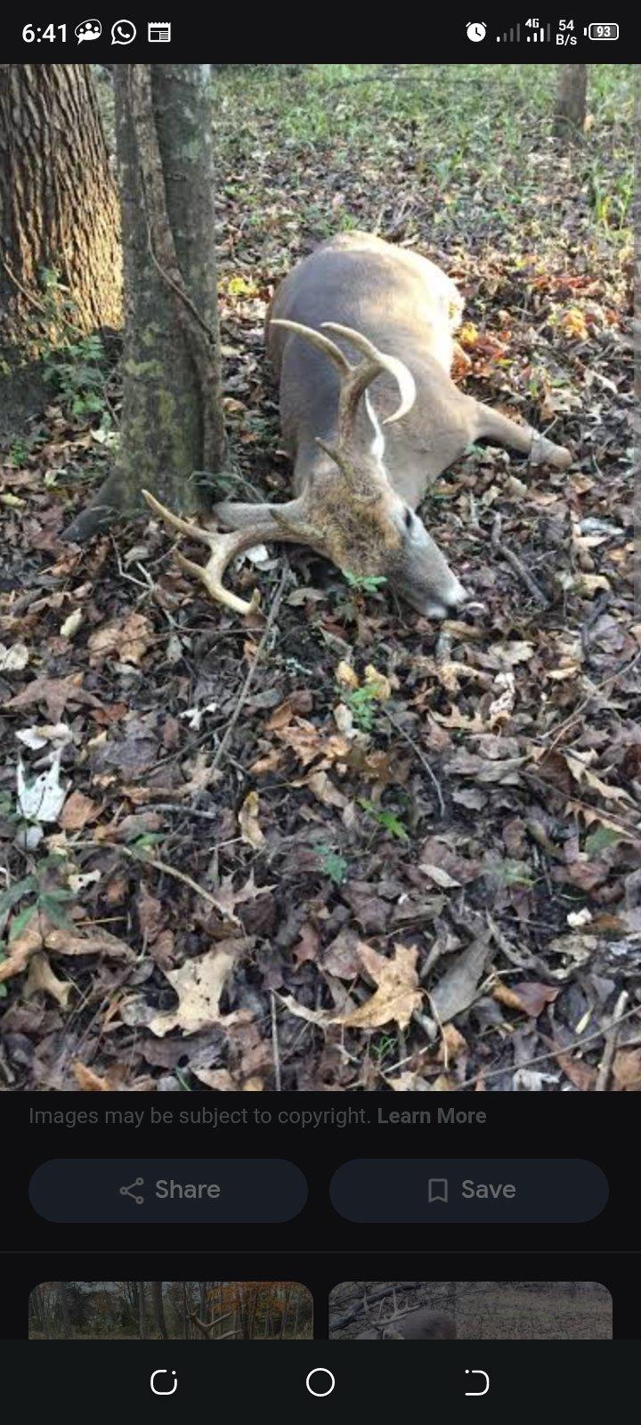 Hunting days