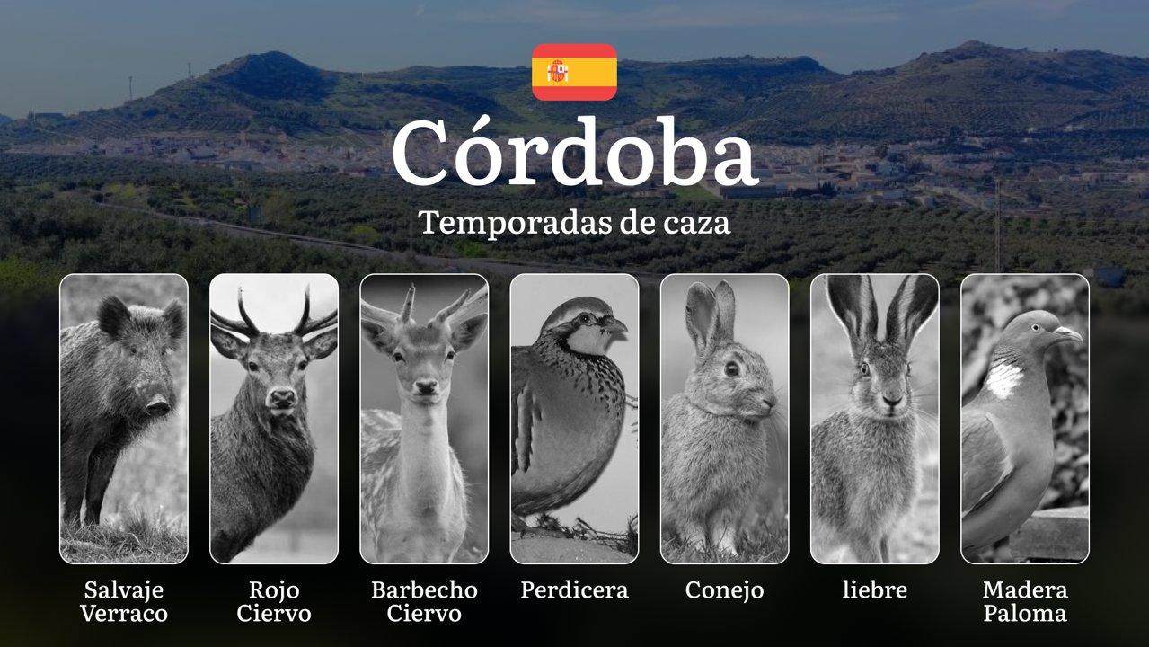 Calendario de Caza en CÓRDOBA: Temporadas y períodos de caza, Licencias y Consejos para Cazadores