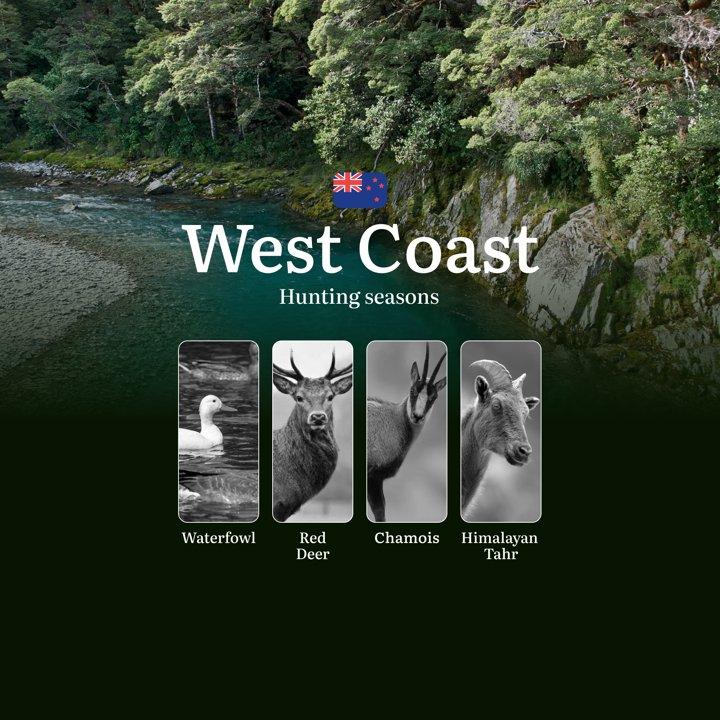 New Zealand’s WEST COAST: Best Seasons for Hunting, Rules and Time for Trophies, Bans and Restrictions of hunting