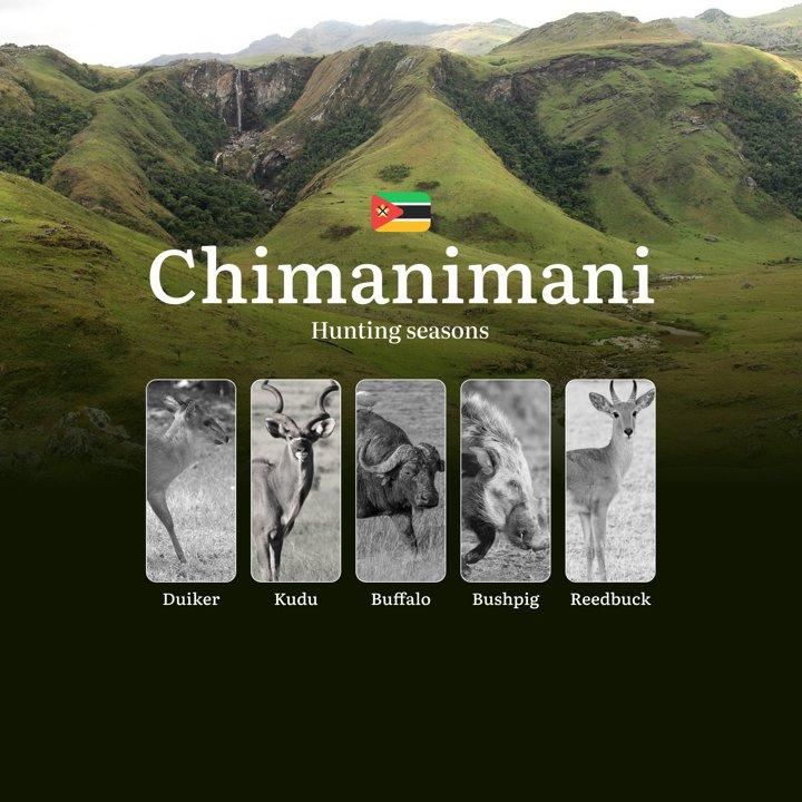 From Cloud Forest to River Valley: Mastering the Hunting Seasons in Mozambique's Chimanimani Frontier