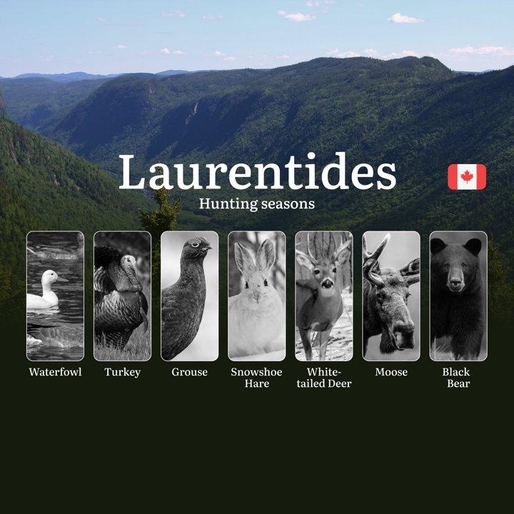 Hunting Seasons in LAURENTIDES, Canada: Official Dates, License Requirements and Zone-Specific Regulations 