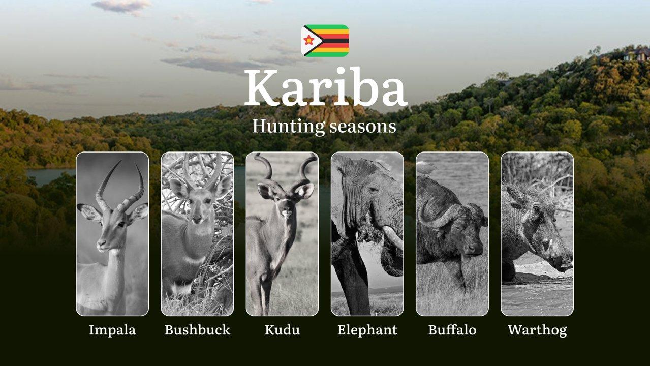 Seasons of <strong>Hunting</strong> in Zimbabwe, The KARIBA Region: Restrictions and Protected Species, Regulations, Licenses, and Tips for <strong>Hunting</strong> 

<st