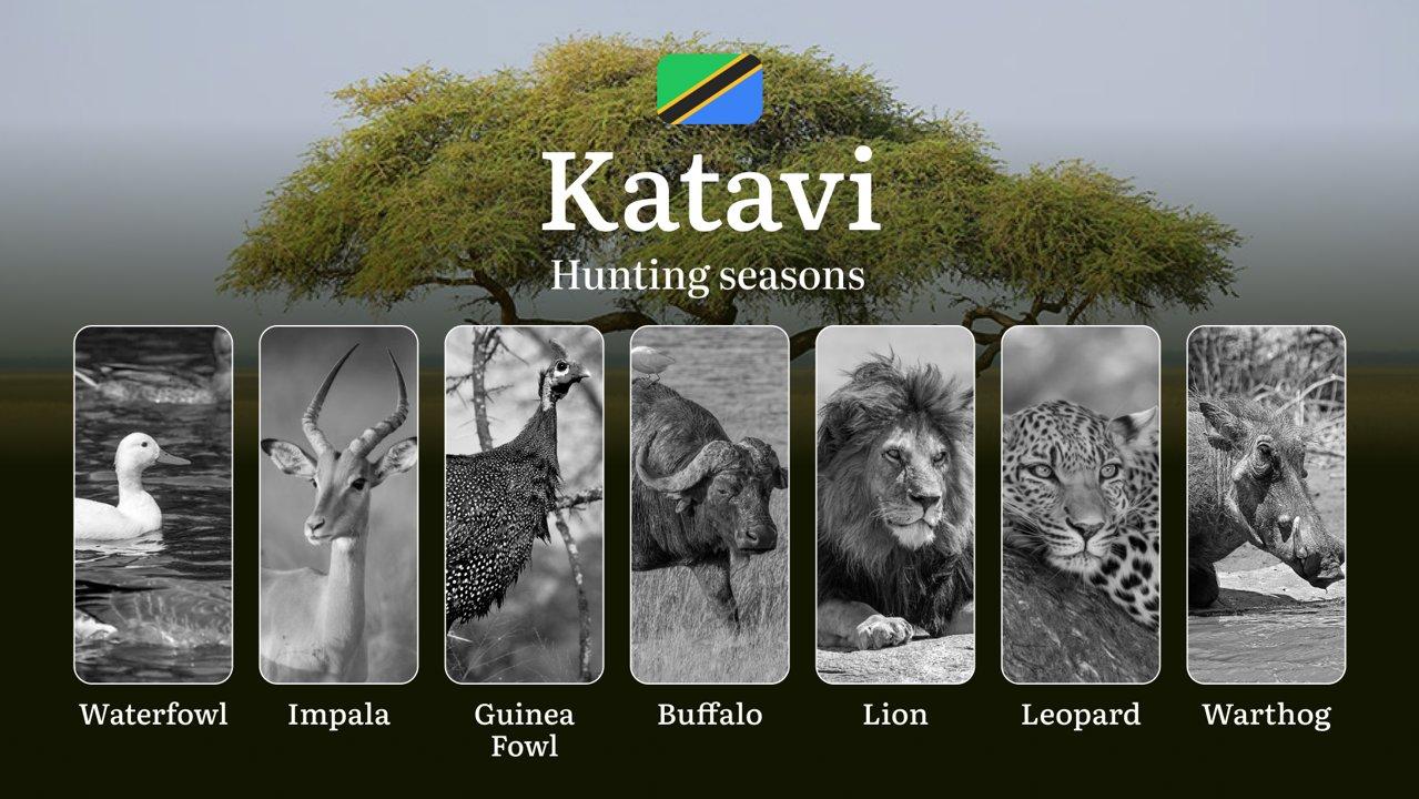 Hunting Calendar for Katavi: Prime Times for Big and Small Game, Restricted Areas, Regulations and Exemptions, Obtaining Your Hunting Permit, Equipment, Locations, and Optimal Timing