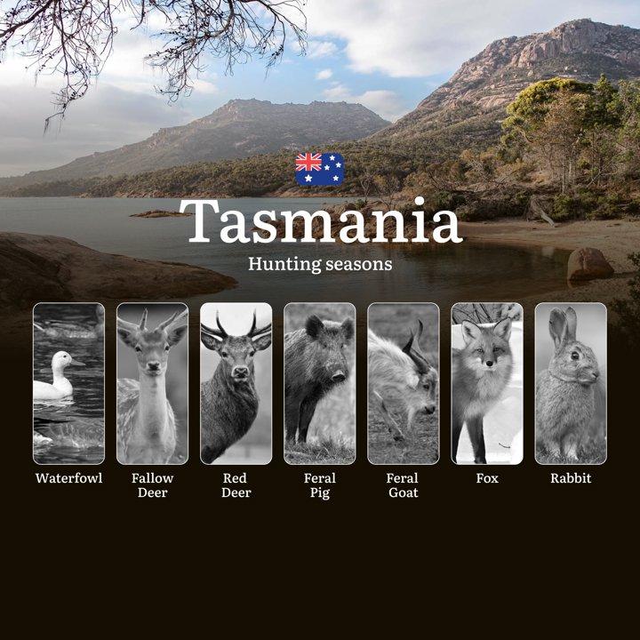 When the Time is Right: Hunting <strong>Calendar</strong> and Regulations for Deer in Tasmania

Understanding Season Dates and Wildlife Management in Tasmania

Tasmania, 